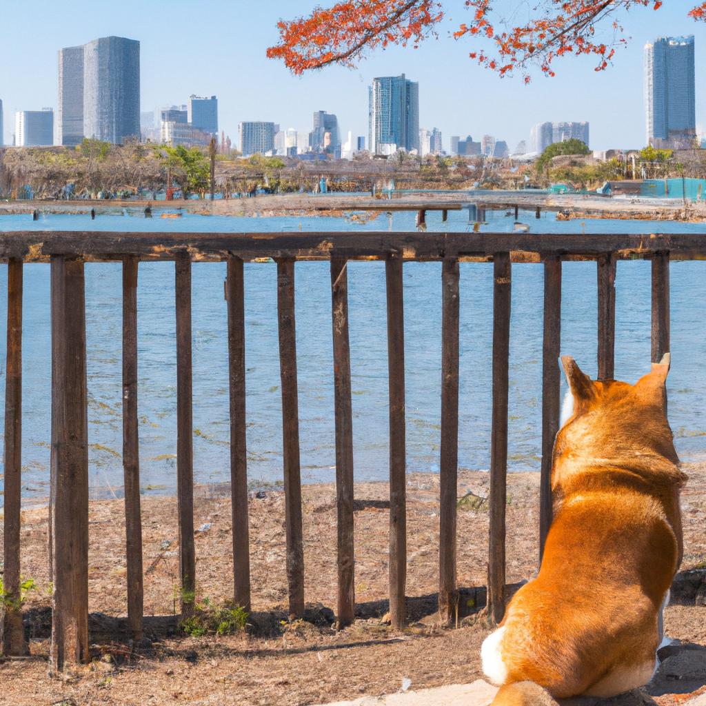 川西町のペットと暮らす魅力